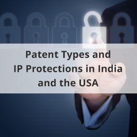 Patent Types and IP Protections in India and the USA