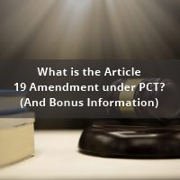 What is the Article 19 Amendment under PCT_And Bonus Information