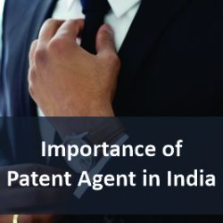 Importance of Patent Agent in India